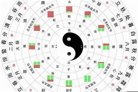 八字看性格|八字性格 – 八字五行所重与性格